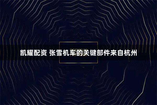 凯耀配资 张雪机车的关键部件来自杭州
